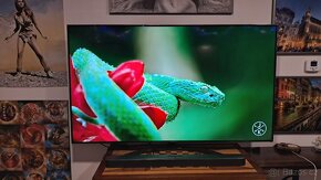 TV 70" LG 70UQ81003LB, UHD, 4k, Smart - záruka do 2028