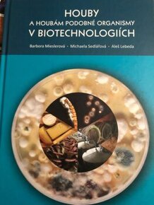 Houby -Biotechnologie