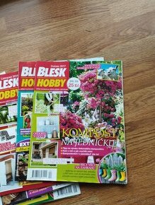 BLESK HOBBY - 1