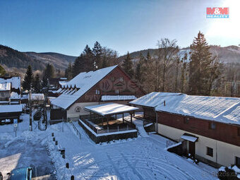 Prodej hotelu, penzionu, 1770 m², Malenovice