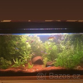 Akvarium 54 l - 1