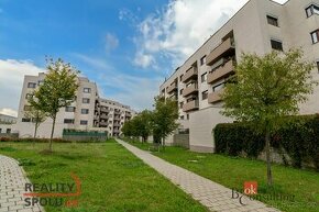 Prodej, byty/2+kk, 64 m2, Kigginsova, Slatina, 62700 Brno-Sl