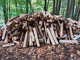 Palivové dřevo tvrdé - 1