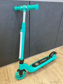 Elektrická koloběžka Windgoo M1 e-scooter