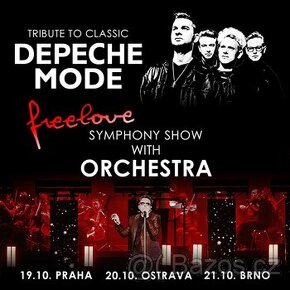 TRIBUTE TO CLASSIC DEPECHE MODE - FREELOVE SYMHONY SHOW S OR