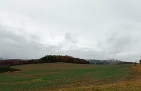 Zemědělské pozemky na Prostějovsku 28 243 m2 - 1