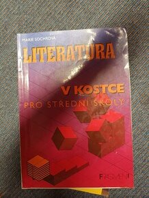 Literatura v kostce