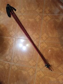 Lyžařské hole, hůlky AXON Alpine 125 cm