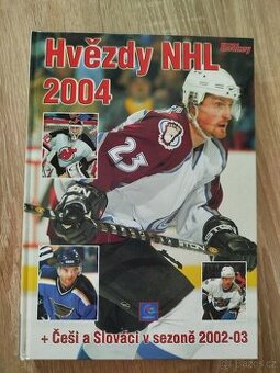 NHL hvězdy 2004 - 1