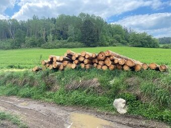 Nabidněte Lesni Pozemek (Strakonicko, Piseko,Prachaticko)