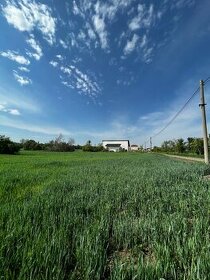 Prodej pozemku o rozloze 380m2 v Hruškách u Břeclavi.