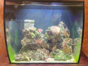 Fluval Aquarium Flex 57L