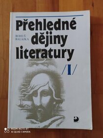 Přehledné dějiny literatury I