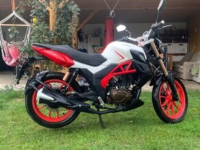 UM Xtreet 125 RC