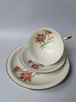 Sběratelský porcelánový čajový set/sada Hutschenreuther