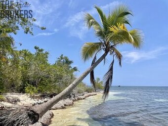 Bailey's Caye Old Port Royal, Roatan