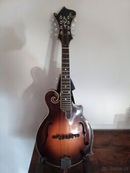 Mandolína F5