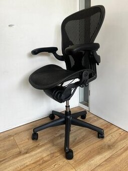 Herman Miller Aeron Full Option -  Posture Fit_ - 1