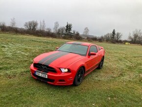 Ford Mustang Rouch