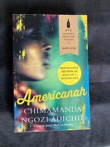 Kniha CHIMAMANDA NGOZI ADICHIE: Americanah