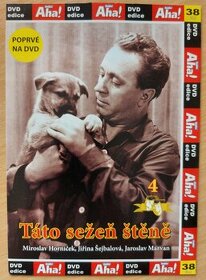 DVD - TÁTO SEŽEŇ ŠTĚNĚ  (1964)