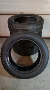 Sada zimních pneu Sava 205/55 R16 91H