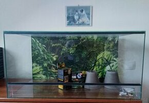 Terarium nové 80x40x40.Síla skla 5 mm .Polyuretanové pozadí