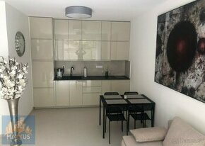 Pronájem hezkého bytu 2+kk (52 m²), ul. Krakovská, Praha 1 -