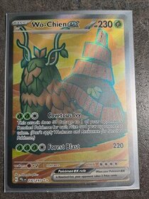 Pokemon TCG Wo-Chien EX PAL 232