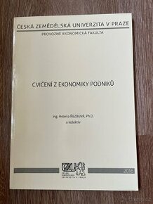 Cvičení z ekonomiky podniků - Řezbová