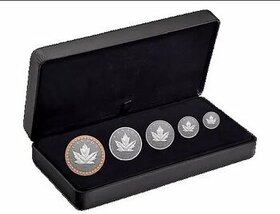 Kanada 2023 Maple Leaf Set(1/20/1/10,1/4,1/2,1oz)  - 1