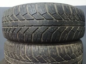 195/65 R15 SEMPERIT (1718)