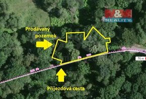 Prodej louky, 1188 m², Chodová Planá - 1