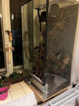 Terarium na chameleona