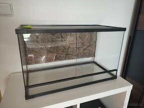 Terarium