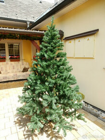 Prodám krásný vánoční stromek Colorado 210cm
