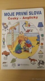 Moje první slova, česky-anglicky, nakl. Svojtka