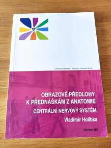 Obrazové předlohy k přednáškám z anatomie - 1