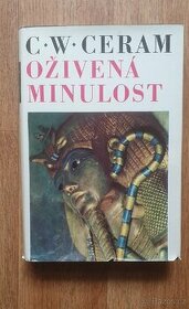 Prodám knihu
Oživená minulost - 1