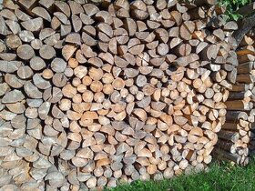 Suché dřevo - 1