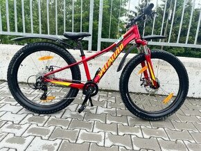 SPECIALIZED RIPROCK 24 - 1