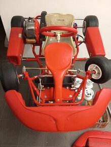 Motokára školní 50 Easykart Birelart - 1