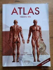 Atlas lidského těla - 1