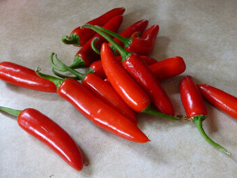 30 - Serrano Chilli paprika