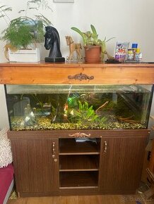 Zařízené akvarium 300L