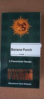 Semena Banana Punch Barney's Farm