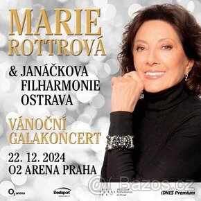 Marie ROTTROVÁ,  Prodám 1-4 e-tickety do 101.