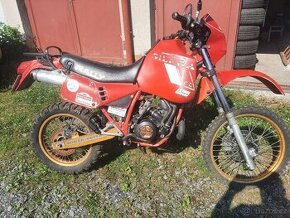 Gilera RC 250 Rally - 1