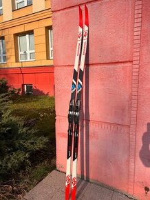 Běžky Rossignol Delta Comp R-SKIN - 186cm (30-50kg) - 1