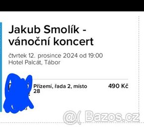 Vánoční koncert